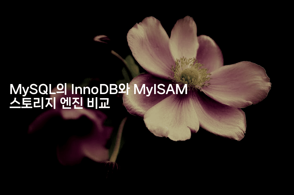 MySQL의 InnoDB와 MyISAM 스토리지 엔진 비교
-마이글글