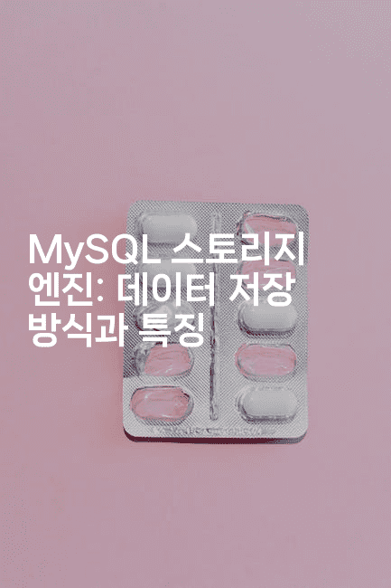MySQL 스토리지 엔진: 데이터 저장 방식과 특징
2-마이글글