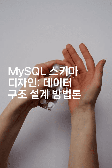 MySQL 스키마 디자인: 데이터 구조 설계 방법론
2-마이글글