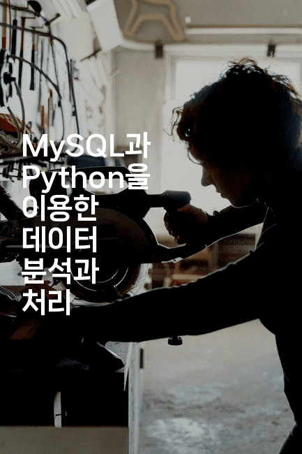 MySQL과 Python을 이용한 데이터 분석과 처리