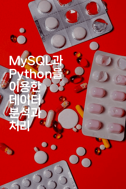 MySQL과 Python을 이용한 데이터 분석과 처리
2-마이글글