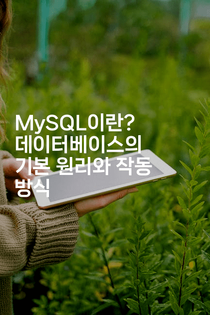 MySQL이란? 데이터베이스의 기본 원리와 작동 방식
2-마이글글