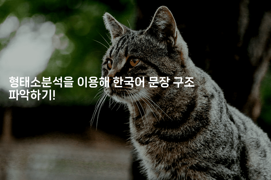형태소분석을 이용해 한국어 문장 구조 파악하기!-마이글글
