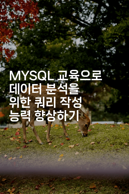 MYSQL 교육으로 데이터 분석을 위한 쿼리 작성 능력 향상하기2-마이글글