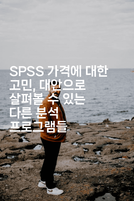 SPSS 가격에 대한 고민, 대안으로 살펴볼 수 있는 다른 분석 프로그램들2-마이글글