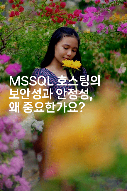 MSSQL 호스팅의 보안성과 안정성, 왜 중요한가요?2-마이글글