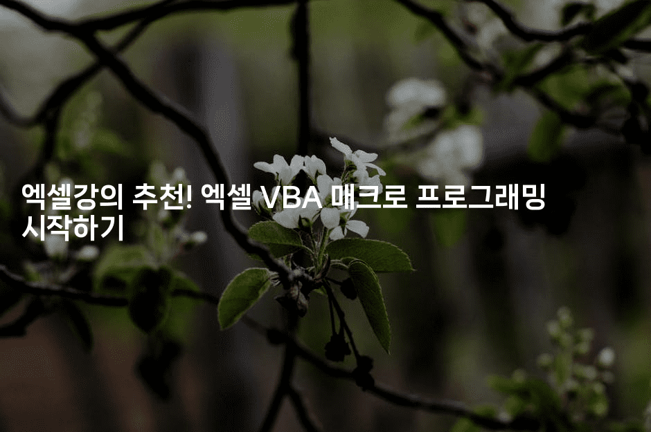 엑셀강의 추천! 엑셀 VBA 매크로 프로그래밍 시작하기-마이글글