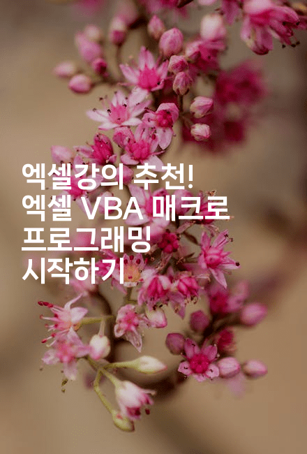 엑셀강의 추천! 엑셀 VBA 매크로 프로그래밍 시작하기2-마이글글