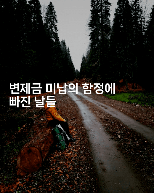 변제금 미납의 함정에 빠진 날들