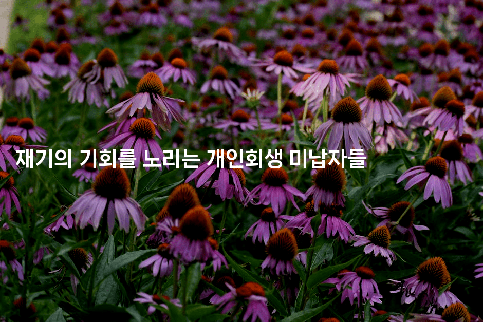 재기의 기회를 노리는 개인회생 미납자들-마이글글