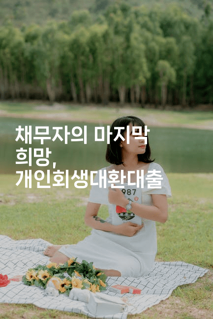 채무자의 마지막 희망, 개인회생대환대출