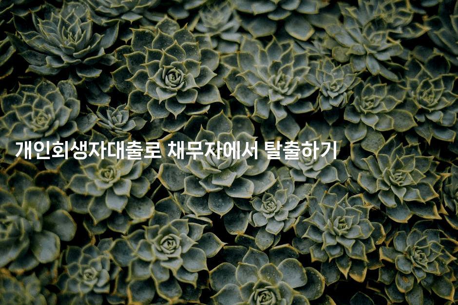 개인회생자대출로 채무자에서 탈출하기-마이글글