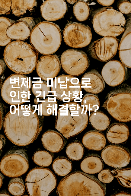 변제금 미납으로 인한 긴급 상황, 어떻게 해결할까?-마이글글