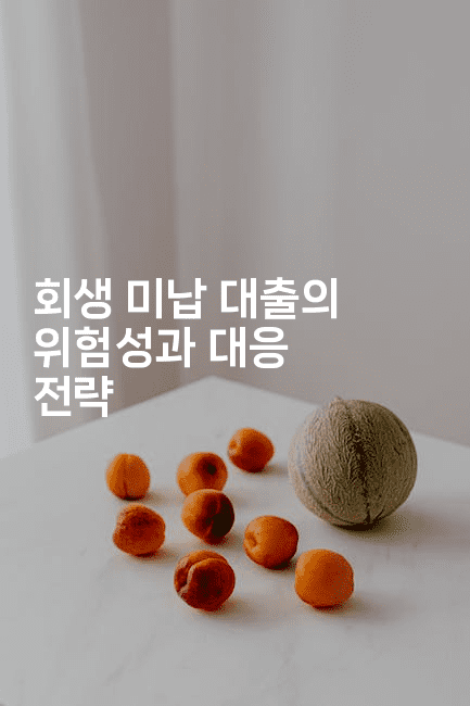 회생 미납 대출의 위험성과 대응 전략-마이글글