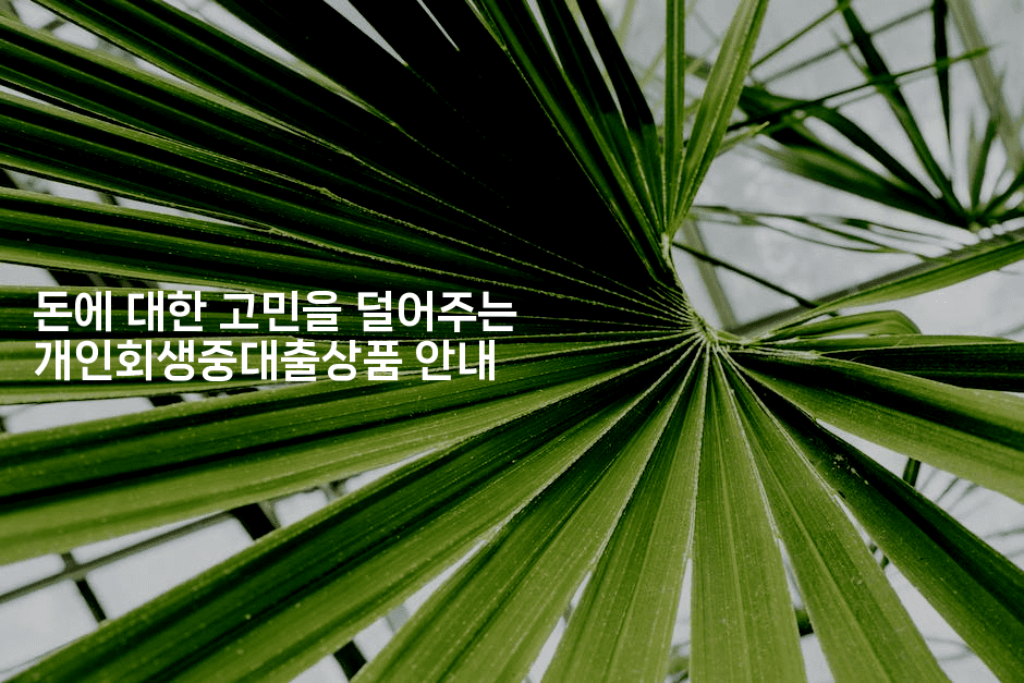 돈에 대한 고민을 덜어주는 개인회생중대출상품 안내-마이글글