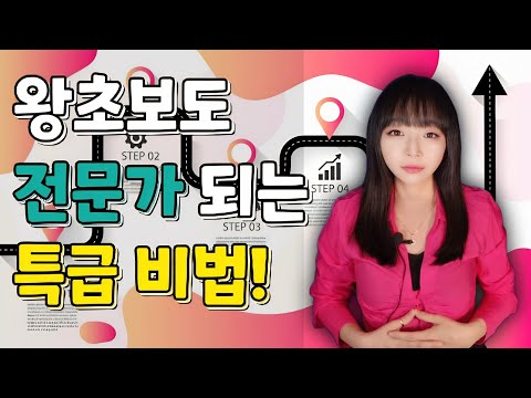 SQL 로드맵, 왕초보에서 전문가까지 공부 순서 총정리