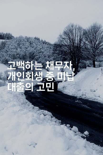 고백하는 채무자, 개인회생 중 미납 대출의 고민-마이글글