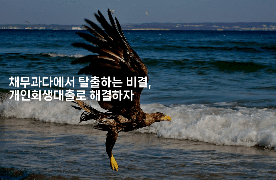 채무과다에서 탈출하는 비결, 개인회생대출로 해결하자-마이글글